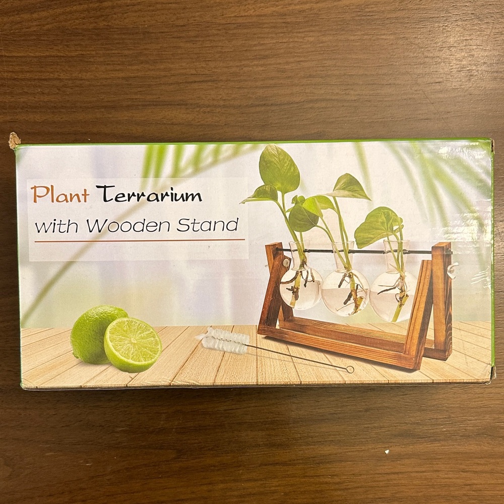 Plant Terrarium with Wooden Stand